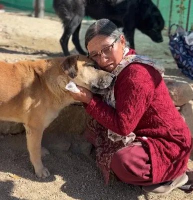 158f98bd 52c3 41b9 8722 d5844082c441